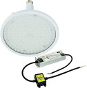 (LINEクーポン有)(送料無料) 日動工業 L150V2-E39-HS-50K ハイディスク 150W NICHIDO