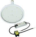 (LINEクーポン有)(送料無料) 日動工業 L150V2-E39-HW-50K ハイディスク 100W NICHIDO
