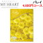 (400ߥեݥ+5/1100PԸ)ޥϡ MYHEART-4800 ե եȥ֥å 4,800ߥ Х쥤 ֤ ˤ MyHeart (Բ)