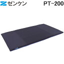 (4/20は抽選で100%P還元)(ポイント10倍)ゼンケン PT-200 高反発マットレス キュービック・ボディープレミアム セミダブル ブルー 寝具 ZEN...