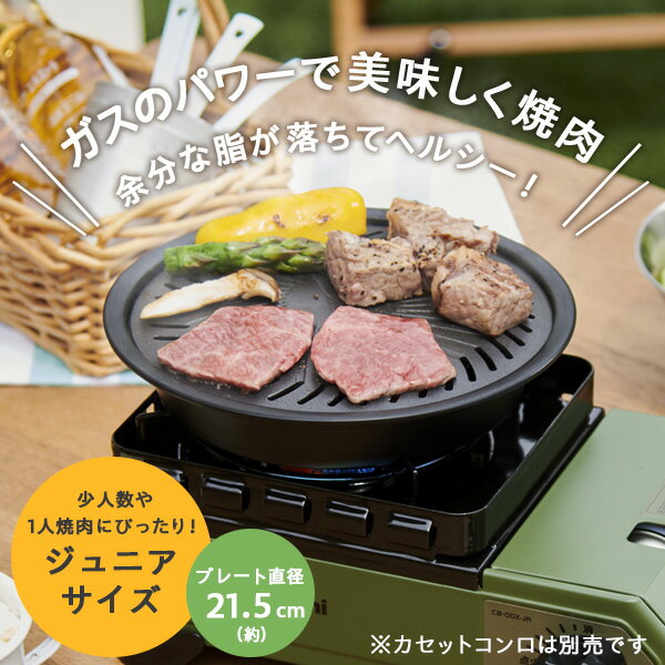 ��ë���� ���勵�� ����˥������ץ졼�� CB-A-YPJ �� �����åȥ������ �����ץ졼�� Ŵ�� �ߥ˥���� �ݷ� �����ü��� Iwatani ���� �ե��ǲù� 1�;���