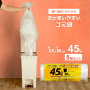 次が使いやすいゴミ袋 45L 1ロール(30枚分)×5個セット HDRE-45-30 | ごみ袋 ロール ポリ袋 半透明 ビニール袋 45L ミシン目カット 次...