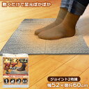 ジョイントマット ガチHOTフット 52×60cm 2枚組 U-Q990 | 寒さ対策 あったか マット 防寒 足元 保温シート クッション性 52×60cm 暖かい グッズ