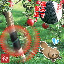 獣よけ 害獣対策グッズ 小動物痛ガール ブラック 2枚入り EG-56 | 針 チクチク いたがる 痛 木登り防止 食害 果樹園 柿 桃 みかん 果物 防止 守...