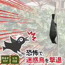 鳥よけ 害鳥対策グッズ コワガラス ブラック EG-18 | カラス 鳥 防鳥 撃退 鳩 ハト 雀 スズメ ゴミ置き場 果樹園 果物 野菜 畑を守る 忌避