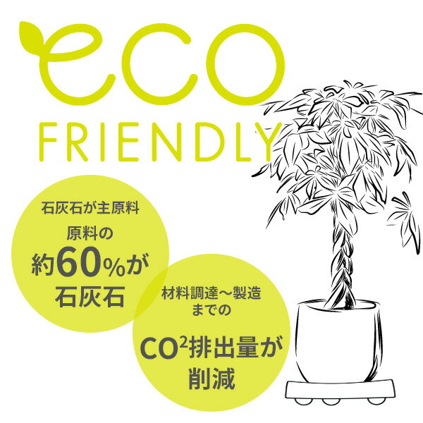 ��å����� ��ԥ� ���㥹�����ץ졼�� S ���٤륫�顼 �� ������ ���� ���㥹�����դ� ��ư�Ǥ��� �ץ졼�� �� ȭ�֤� �������� ư������ ��ưOK ���㥹���� ���� �Ӽ� ���ȡ���Ĵ