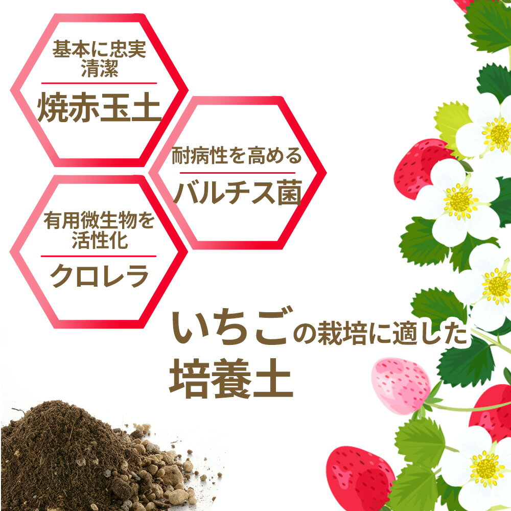 リッチェル 培養土 クロレラの恵みR いちごの土 7L ｜ いちご イチゴ 苺 野菜 果物...