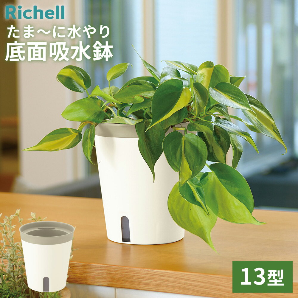 樂天商城 - リッチェル 植木鉢 ミエルノPlus ポット 13型N ホワイト ｜ 給水プランター 給水ポット 植物 園芸 プランター