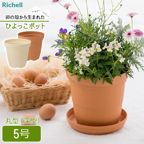 リッチェル 植木鉢 ひよっこ ハイポット 5号 ブラウン / ベージュ ｜ 鉢 プランター 丸 深型 長鉢 園芸鉢 ガーデニング 観葉植物 プラスチック 軽い 鉢植え SDGs アップサイクル