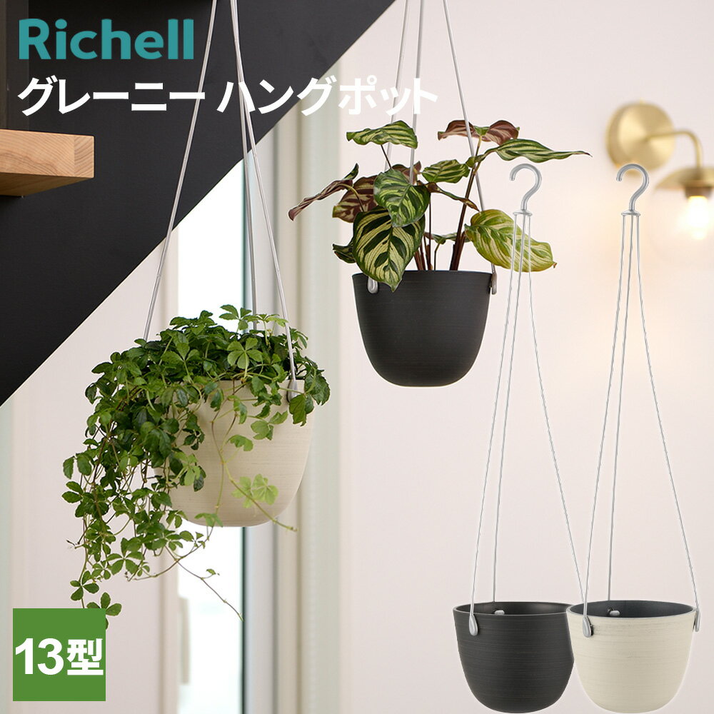 楽天市場】エアプランツ ハンギング（植木鉢・プランター