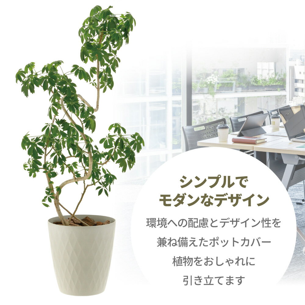 リッチェル ラピス ポットカバー 8 ｜ 鉢入れ 園芸 おしゃれ ガーデニング 植物 鉢...