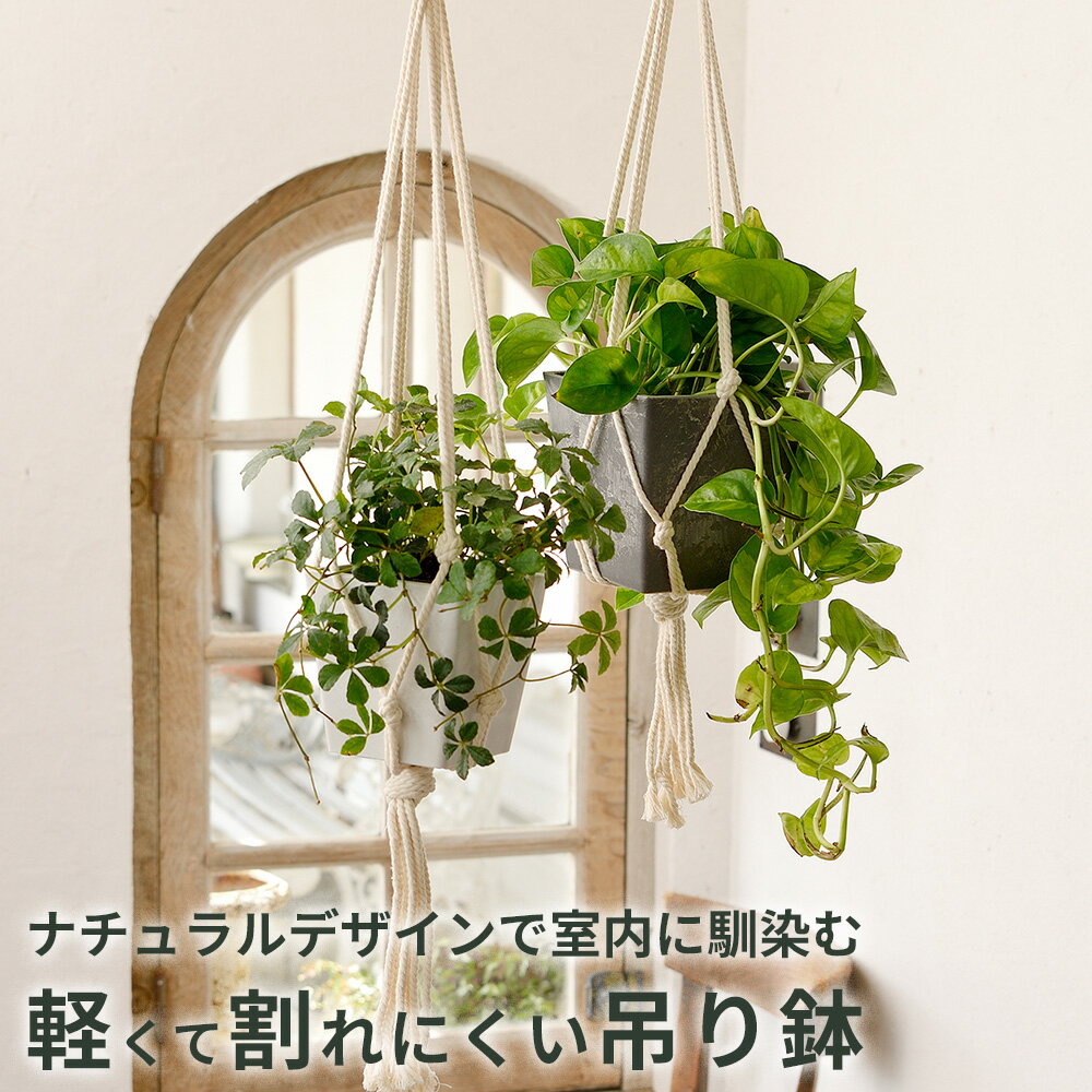 リッチェル 吊るす 植木鉢 ボタニー ハンギングキューブ 10型 ｜ ハンキングプラン...