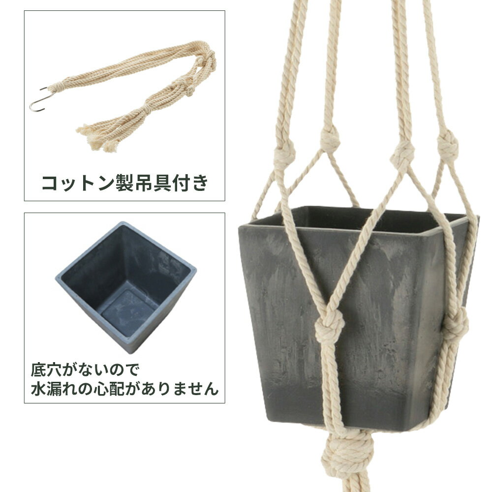 リッチェル 吊るす 植木鉢 ボタニー ハンギングキューブ 10型 ｜ ハンキングプラン...