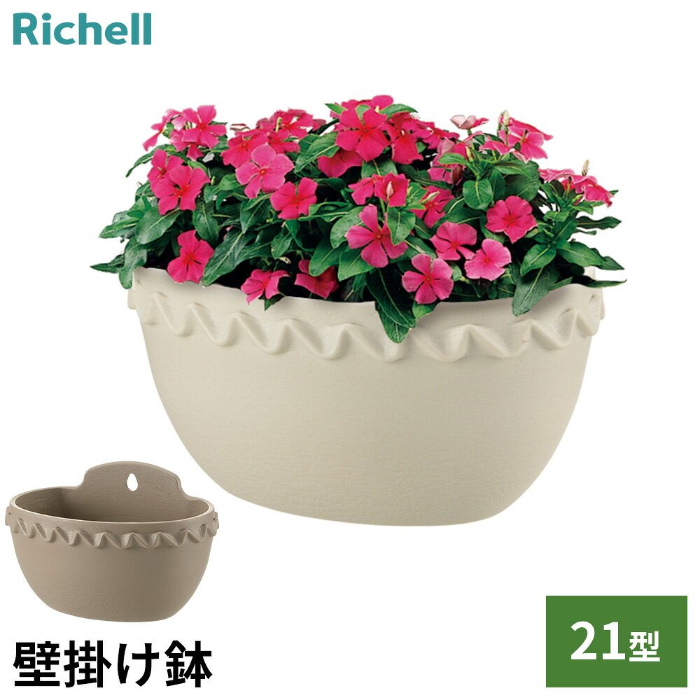楽天市場】ゼラニウム 鉢植え（植木鉢・プランター｜ガーデニング