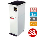 分別ゴミ箱 SP 分別ダストボックス パッキン付 ペダル 2段 スリム 38L ブラック 6803