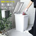 ゴミ箱 エバン 密閉ペダルペール 30L ホワイト / ブラック ｜ ダストボックス ペダル 防臭 ごみ箱 30リットル 臭わない 分別 おしゃれ シンプル キッチン おむつ