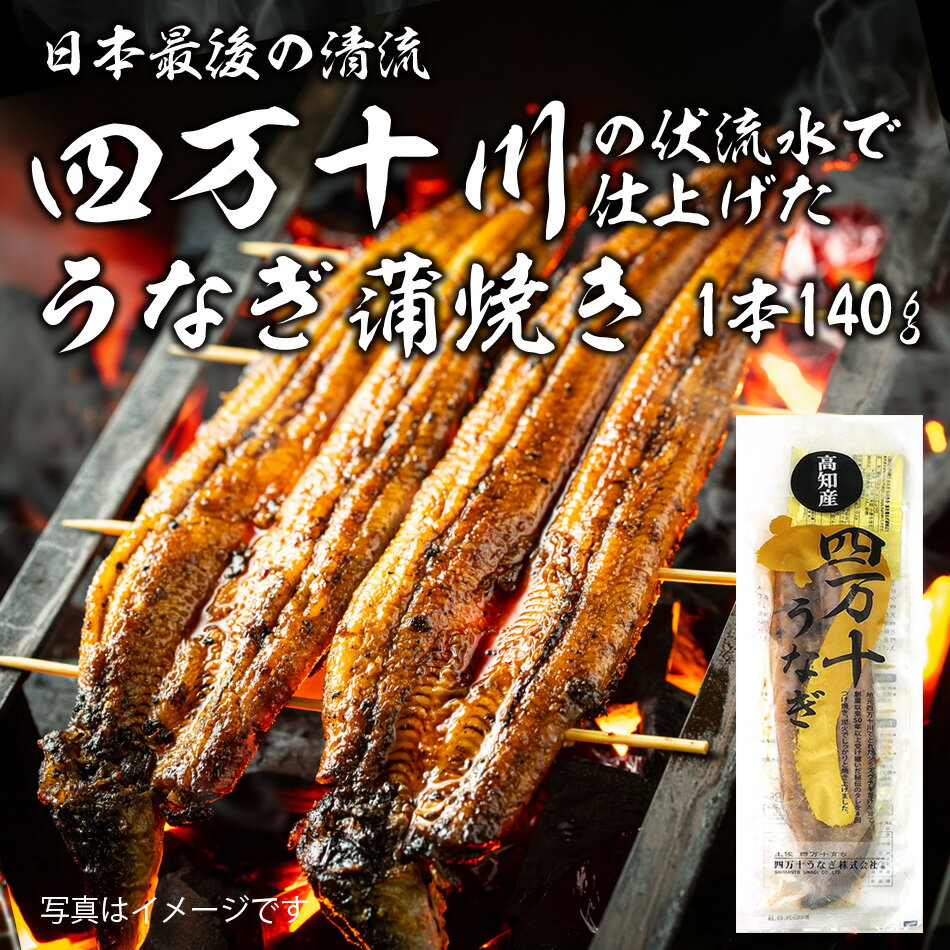 樂天商城 - 四万十うなぎ 蒲焼(大) 1匹 140g 冷凍便 うなぎ ウナギ 鰻 国産 かば焼き 蒲焼き うな重 鰻重 土用丑の日 高知県 四万十川 グルメ ギフト 父の日 プレゼント おとりよせ お取り寄せ 中元 夏バテ 対策