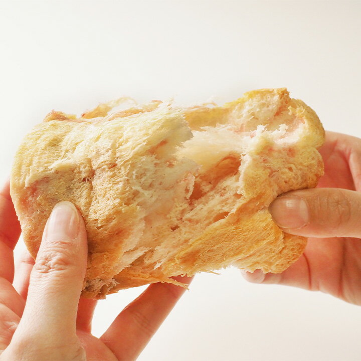 �����������ߴ̥ѥ� 100g��9�̥��å� �ﲹ�ظ��������̵���ۡ���￩ �ѥ� �̵� 5ǯ �ѥ� ������ȤΥѥ�Τ���Ť� ���������� ������ȤΥѥ�̵� ���� �ɺ� ��¸�� Ĺ����¸ ������󥰥��ȥå� �ɺҤ���