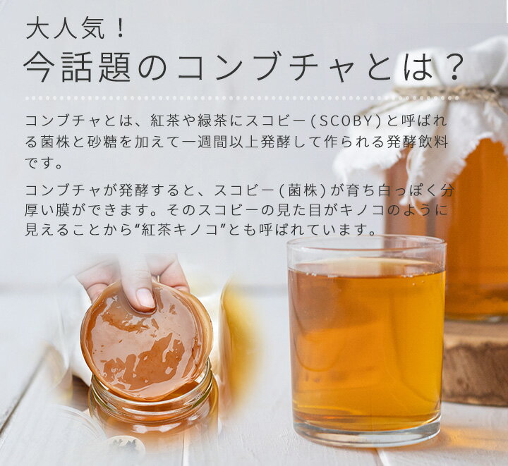 SUPER KOMBUCHA スーパーコンブチャ 粉末200g(5g×30包) 旧バージョン 常温便・クール冷蔵便・冷凍便可【送料無料】※賞味期限2026年4月8日／紅茶キノコ　紅茶きのこ