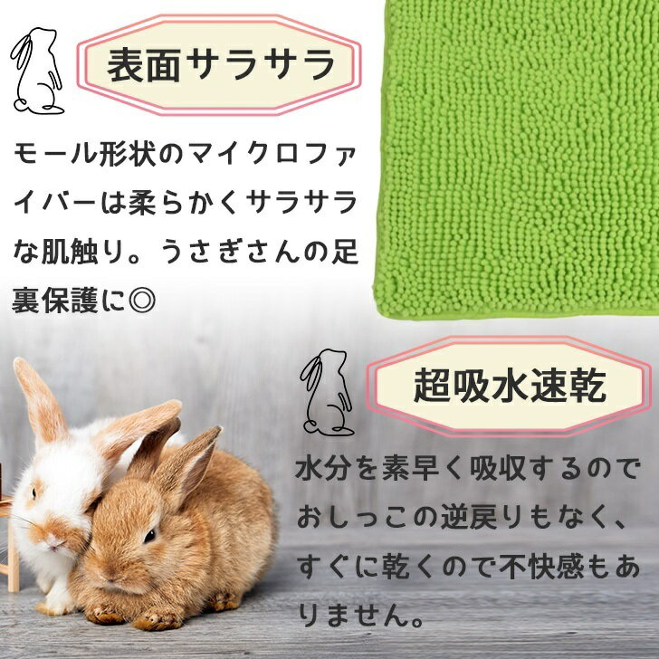 うさぎ介護 三晃商会 J52 うさぎの足裏清潔...の紹介画像2