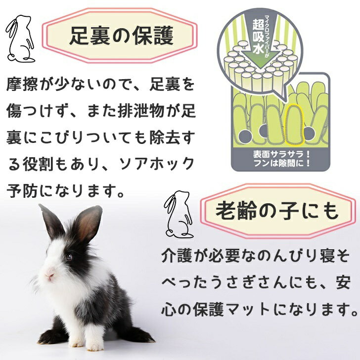 うさぎ介護 三晃商会 J52 うさぎの足裏清潔...の紹介画像3