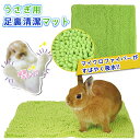 うさぎ介護 三晃商会 J52 うさぎの足裏清潔マット 410×410mm うさぎ ウサギ 兎 うさぎ介護マット うさぎソアホック うさぎ斜頸 うさぎ介護 うさぎ用マット 小動物 うさぎ足裏保護 うさぎ ソアホック マット うさぎ ソアホック うさぎ 床ずれ 防止うさぎ専門店