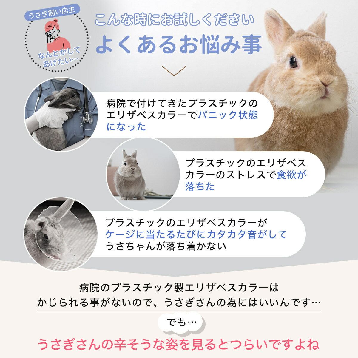 送料無料 メール便 うさぎ用エリザベスカラー 避妊 去勢 皮膚疾患 傷保護 ウサギ用...
