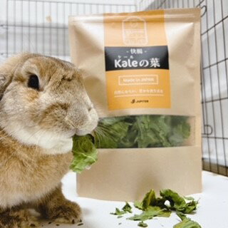 ����������� ZASSOU �ޥ륷�� ��Ĳ ��������� kale���� ��������������� ������̵ź�ä���� ���������礪��� ����������� ��������������Ź ������ �񻺤���� Jupiter