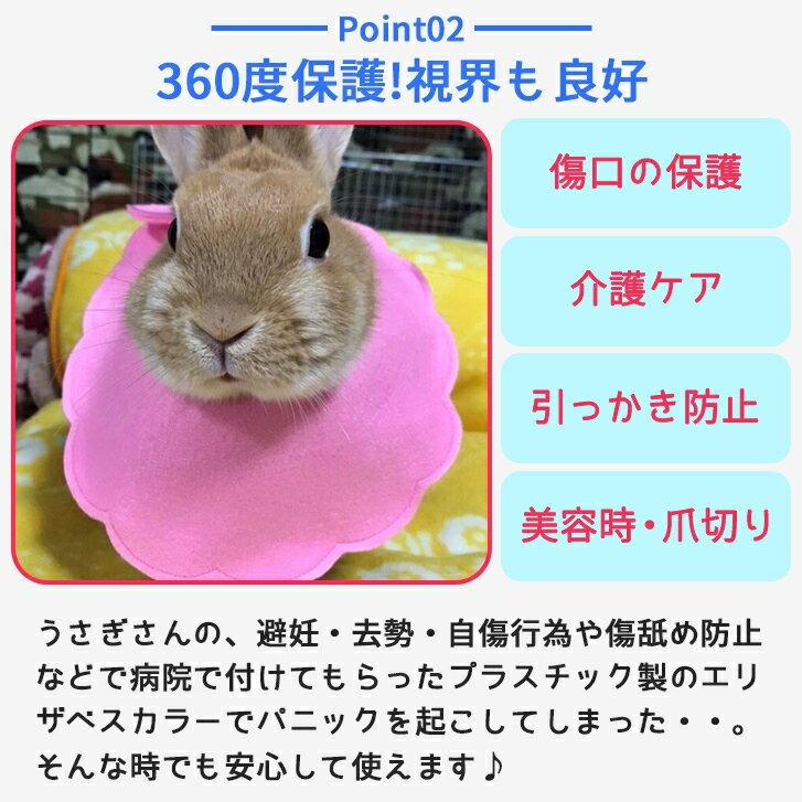 ����̵�� �᡼���� �������ѥ��ꥶ�٥����顼 ������ ��ǥ ���������� ������� ���ݸ� �������ѥ��ꥶ�٥����顼 ���餫�� ���� �������Ѹ奱�� ���ꥶ�٥����顼 ������ chou chou(���奷��)������������� ����������Ź