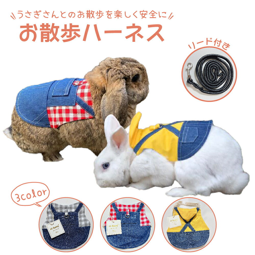 送料無料 うさぎハーネス リードセット S M L うさんぽ うさぎ散歩 うさぎお出かけ うさぎハーネス ウサギハーネスリード　うさぎ用品専門店