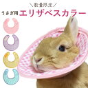 アウトレット品 うさぎ用エリザベスカラー 数量限定 柔らかいエリザベスカラー かわいいエリザベスカラー うさぎ介護 うさぎ傷口舐め防止