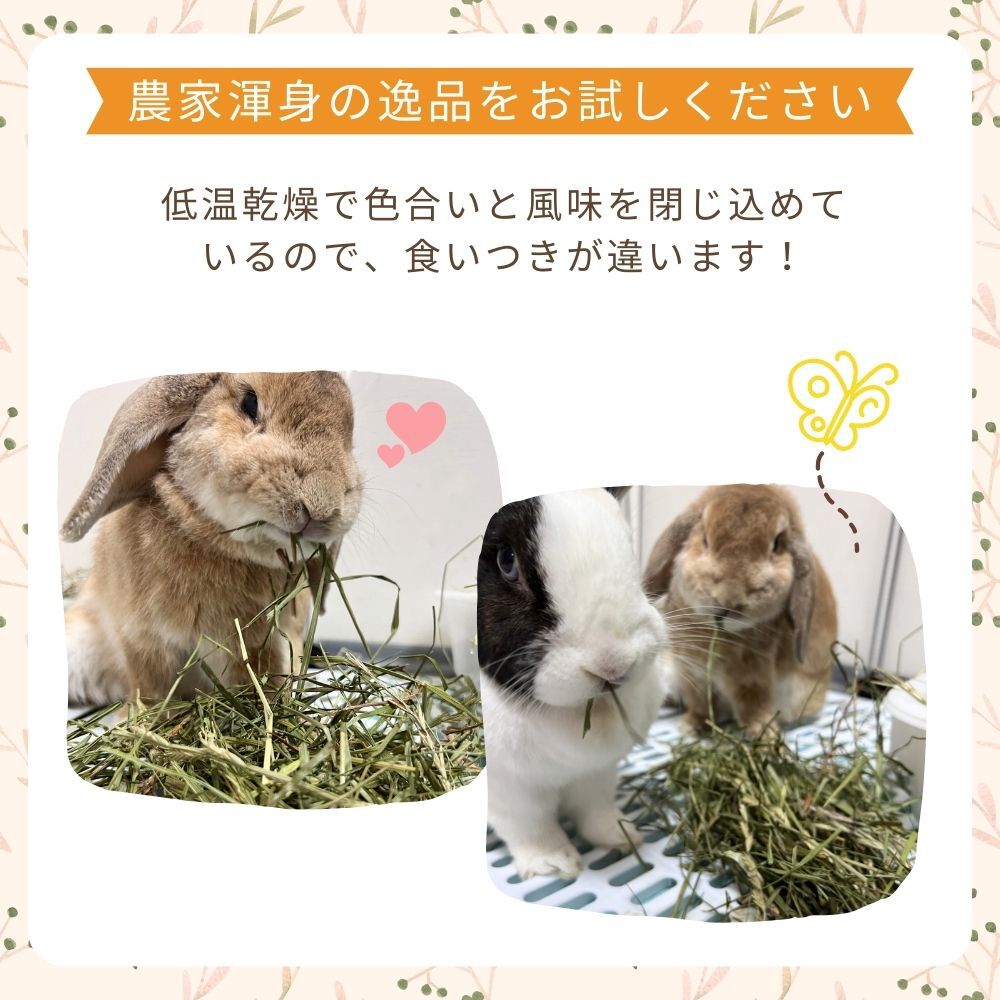 �����ꥢ��饤���饹 100g �� ̵�������㴢�ꥤ���饤�����������𡡤������繥�������ꥢ��饤���饹�������ꥢ��饤���饹������