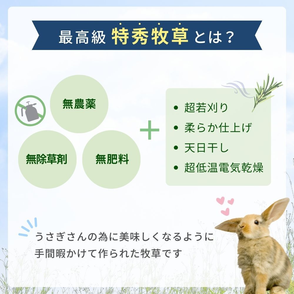 特秀牧草 イタリアンライグラス 70g うさぎ 牧草 国産 無農薬 無除草剤 無肥料 天日干し 超低温乾燥 食物繊維 牧草嫌い シニア 普段の牧草に混ぜる 草食小動物 うさぎ 餌 うさぎ用品 chouchou（シュシュ） rabbitdogcat-10000334 chouchouうさぎ用品大阪楽天市場店 サンプル画像2