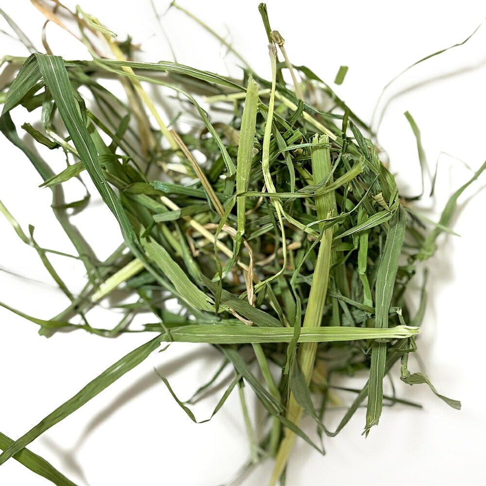 【jupiter ジュピター】 ZASSOUマルシェ うさぎの牧草 イネ科ミックス 70g 国産 無...