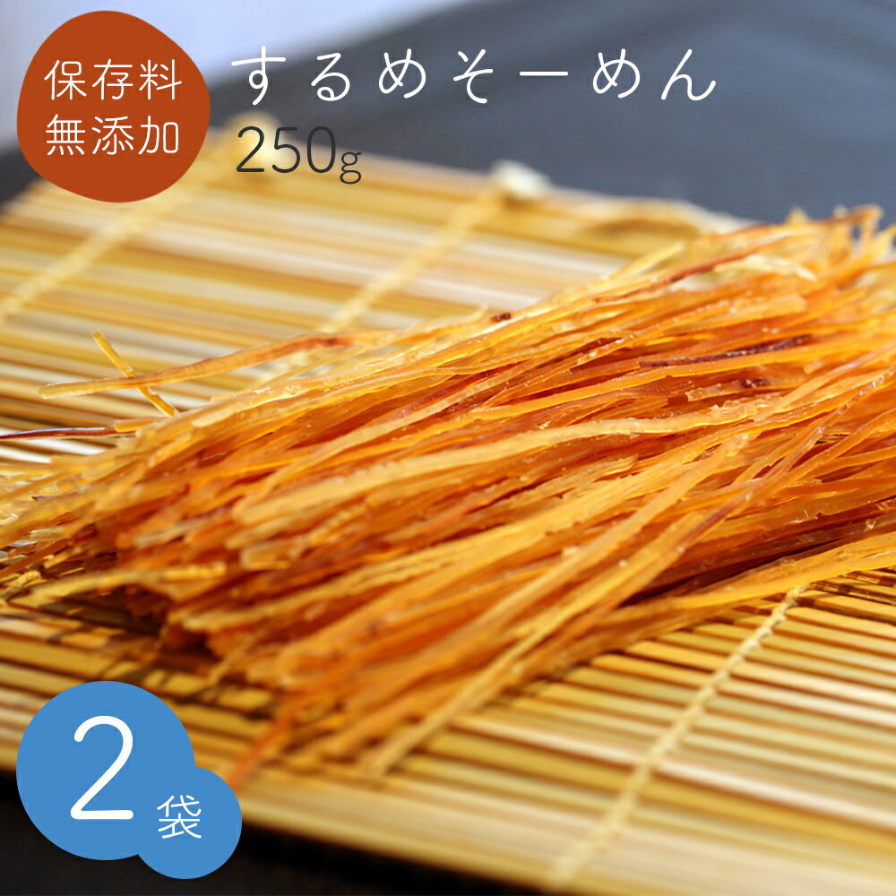＜＜アウトレット！賞味期限2025年4月27日まで＞＞するめソーメン 250g チャック付き 2袋セット 送料無料 おつまみ おやつ お酒のお供