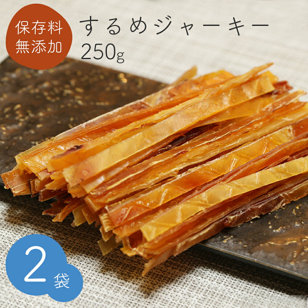 するめジャーキー 250g チャック付き 2袋セット 送料無料 おつまみ おやつ お酒のお供