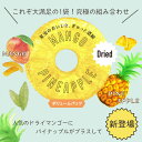 ドライマンゴー＆パイナップル 500g 新物入荷 3