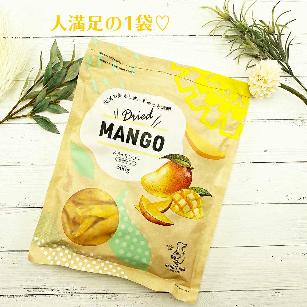 ★予約販売★ 5/21以降出荷 ドライマンゴー 500g 2袋セット (500g×2) 送料無料 細切り ドライマンゴー ドライフルーツ マンゴー 不揃い 新物入荷 3