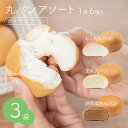 BASE BREAD プレーン 16袋入り 完全栄養食 | basefood ベースブレッド 栄養食 置き換え ダイエット 食品 満腹感 低 糖質 制限 オフ パン 食物繊維 タンパク質 糖質 おやつ お菓子 亜鉛 葉酸 全粒粉 雑穀 送料無料 間食 ベースフード 糖質制限 保存食 ローリングストック