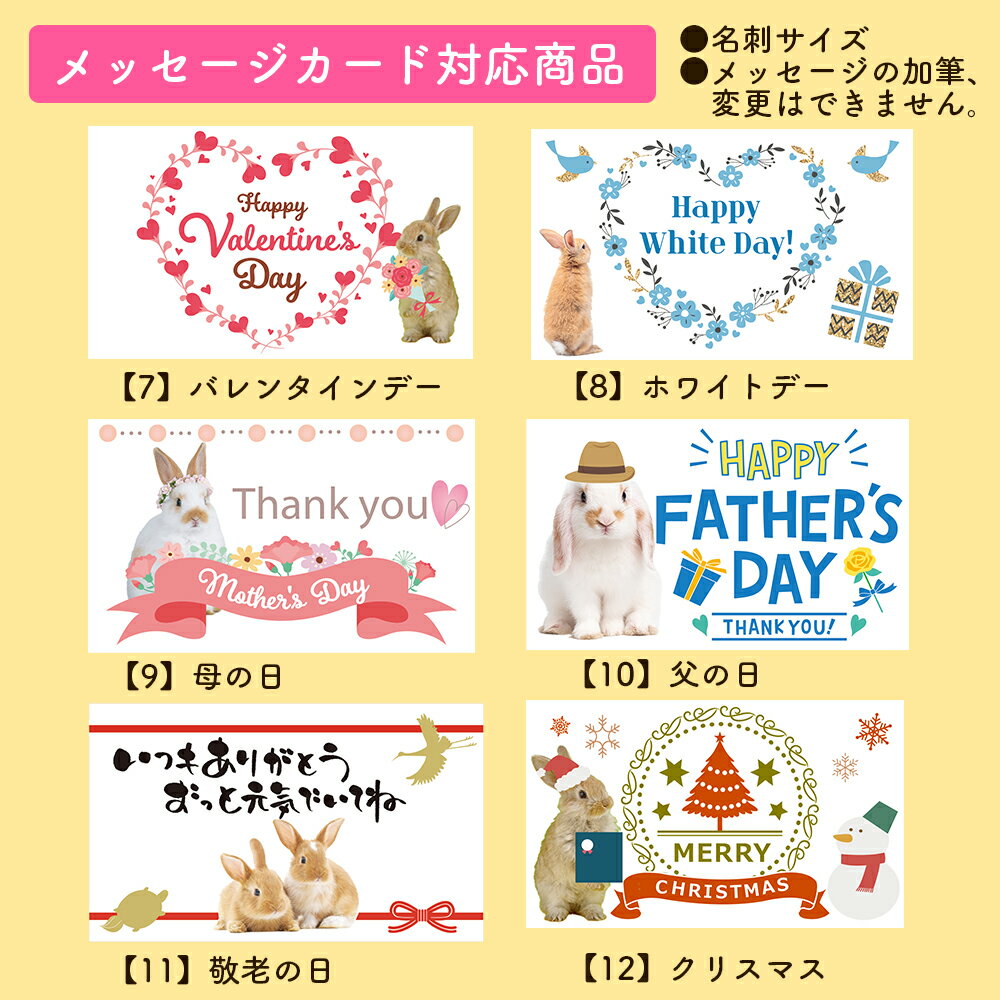 ���������������å����������� ��Ʊ�����ѤˤĤ�ñ�ʤǤι����Բ�