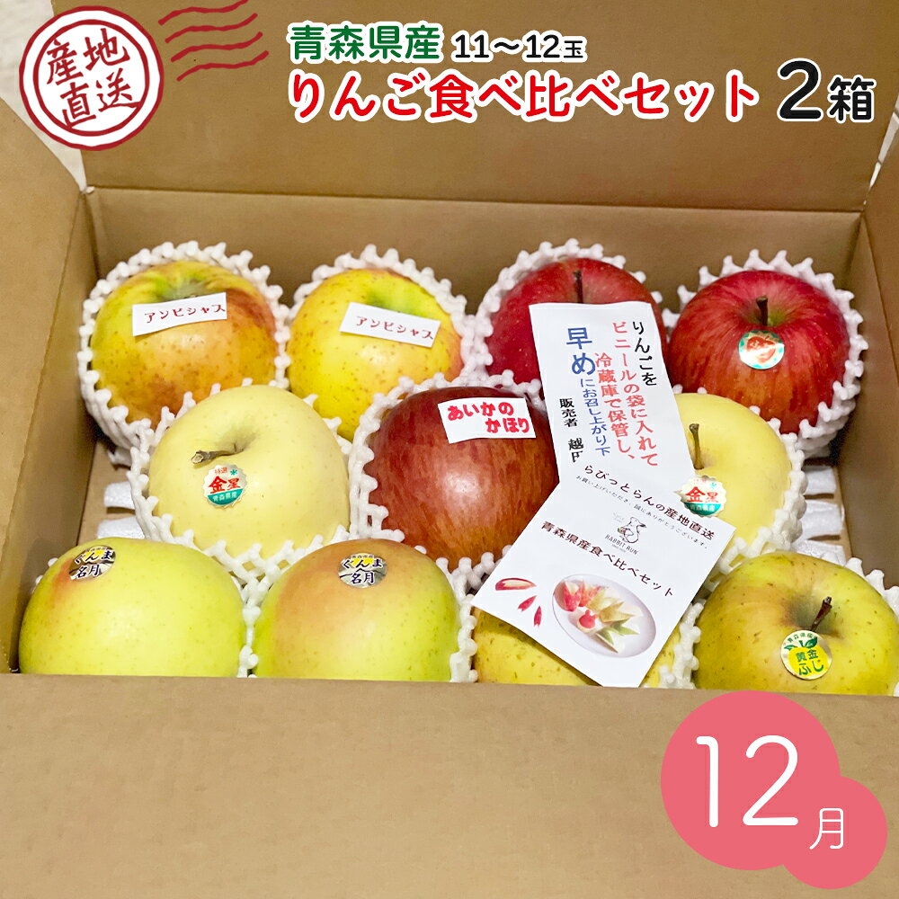 【産地発送】12月中出荷予定 青森県りんご食べ比べ 2箱セット 10kg 1箱5種以上11〜12玉入り 詰め合わせ 果物 農家 産直 新鮮 特産品 青森りんご 青森県産 お歳暮 御歳暮 歳暮 ギフト