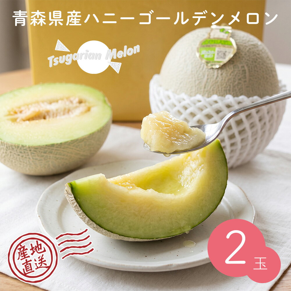 食品 No.5つがる市産 メロン ディーバ 訳あり