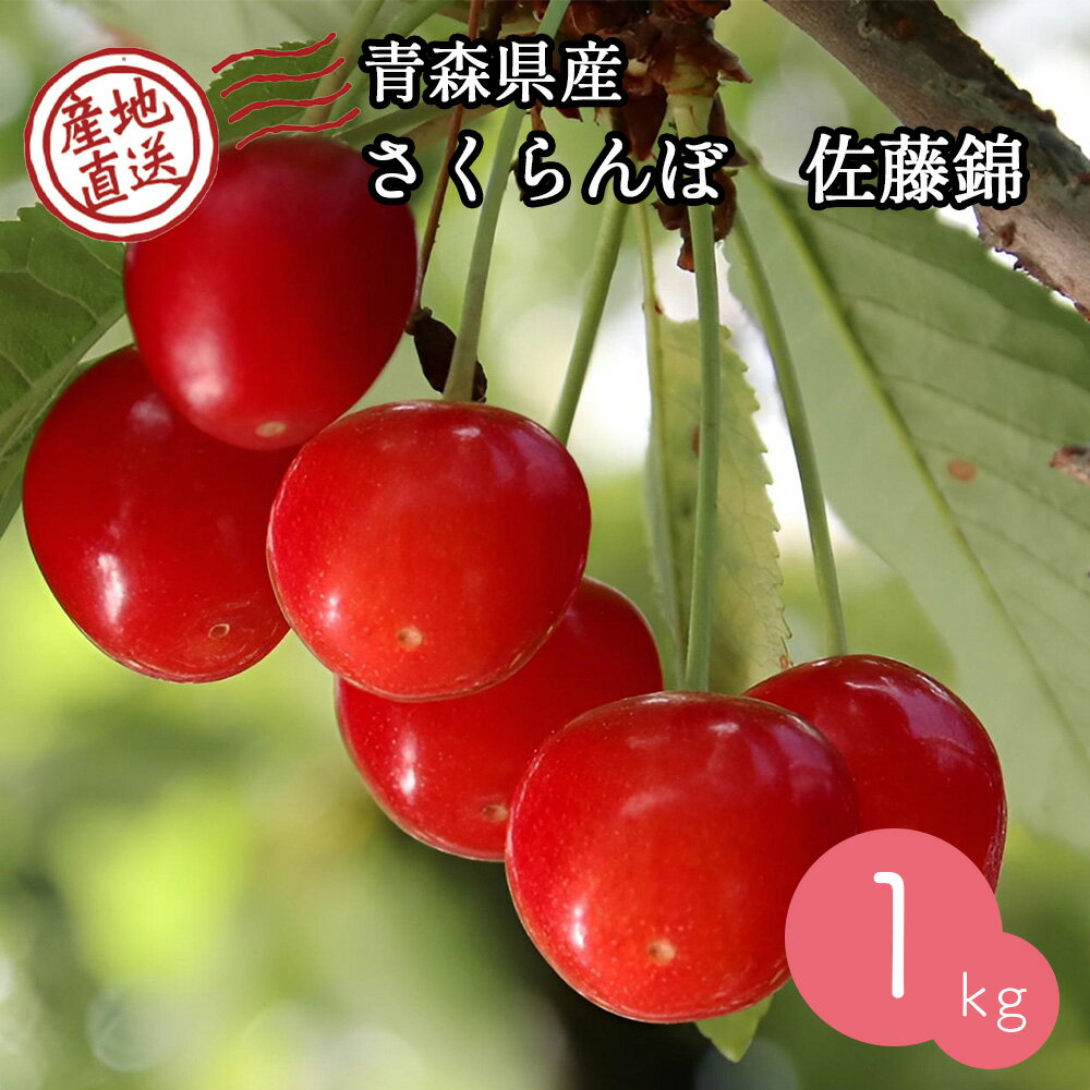 【産地直送】 青森県産 さくらんぼ 佐藤錦 1kg サクランボ 果物 フルーツ 人気 売れ筋 お取り寄せ バラ 自宅用 予約販売 6月下旬～7月上旬出荷予定のサムネイル