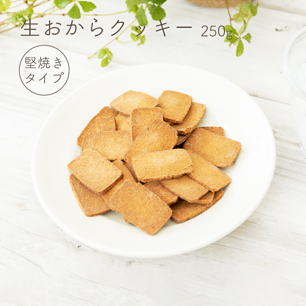 生おからクッキー 堅焼きタイプ 250g 送料無料 おから 豆乳 大豆 クッキー 卵不使用 牛乳不使用 ダイエット たんぱく質 固焼き