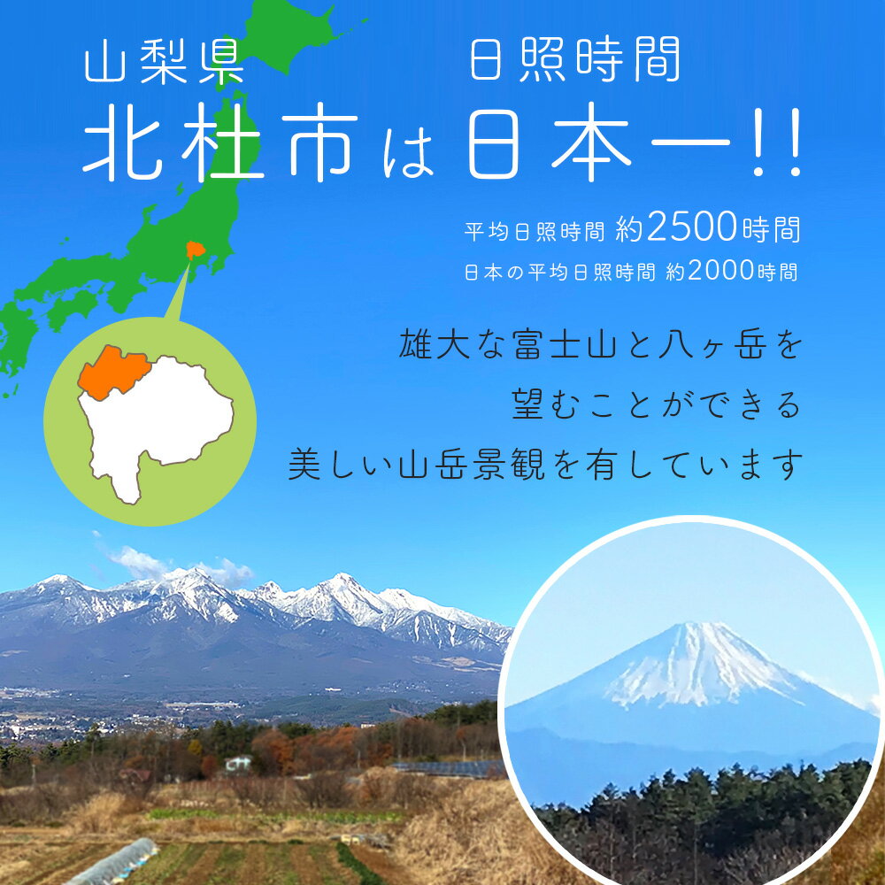 ほくとの干し芋 (山梨県北杜市 紅はるか) 200g 2袋セット 送料無料 干しいも 国産 食物繊維 健康 美容 栄養食 ビタミン 低脂質 鉄分 栄養補給