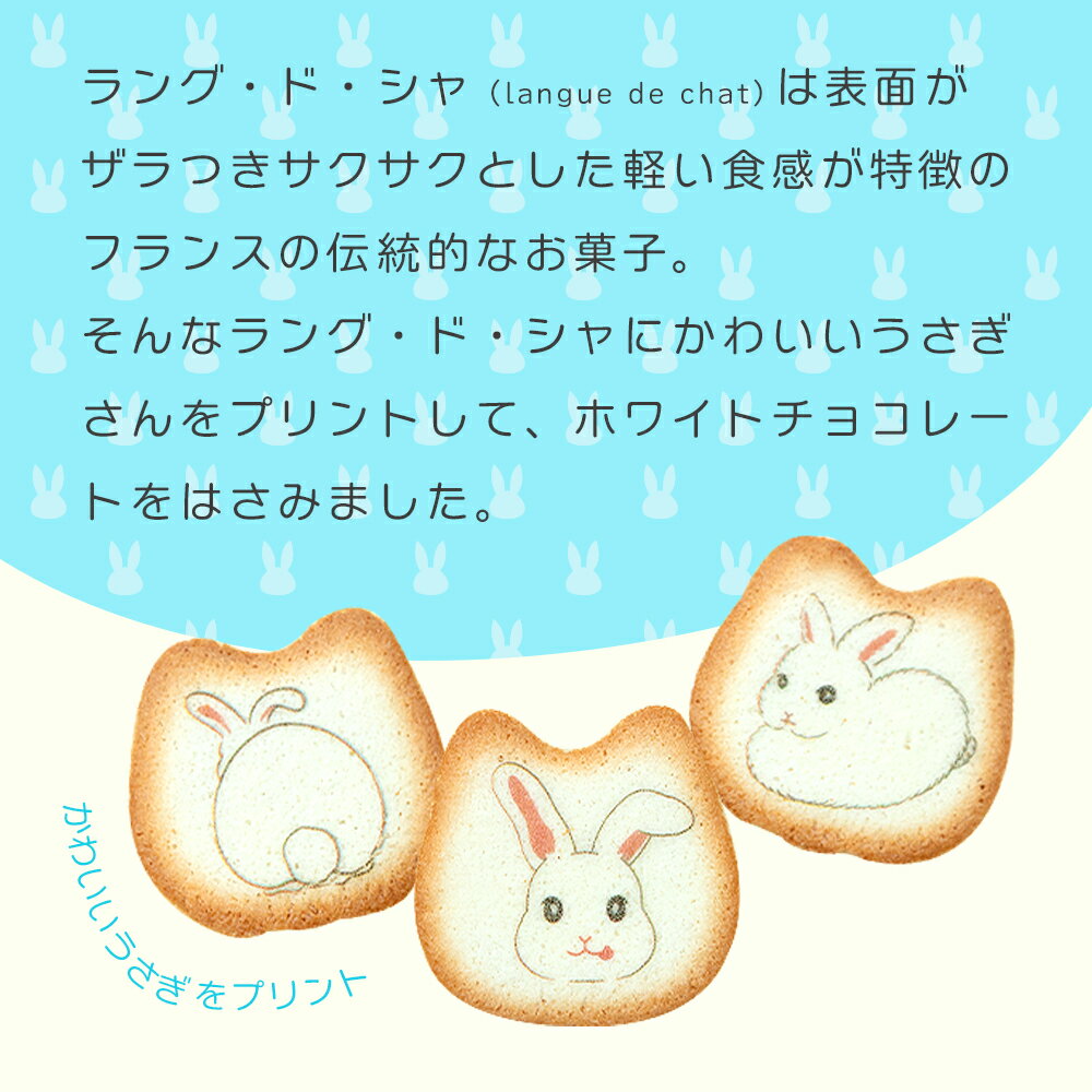 �������Υץ��ȥ�󥰥ɥ��� 3�ǥ����� 8������ ������