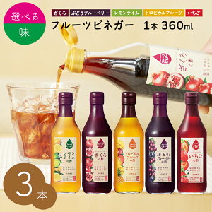 内堀醸造 フルーツビネガー 3本セット 飲むお酢 ぶどうとブルーベリー ざくろ レモンライム トロピカルフルーツ いちご ビネガードリンク