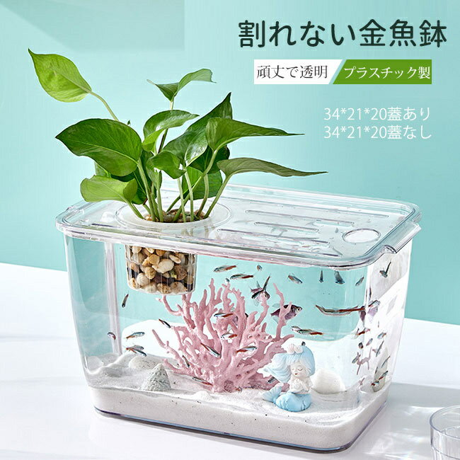 母の日 プレゼント 金魚鉢 メダカ 透明 プラスチック製 水槽 花瓶 アクアリウム ボトルアクアリウム バブルボウル ボトルテラリウム 苔テラリウム コケリウム 初心者向け