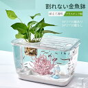最強配送 母の日 プレゼント 金魚鉢 メダカ 透明 プラスチック製 水槽 花瓶 アクアリウム ボトルアクアリウム バブルボウル ボトルテラリウム 苔テラリウム ...