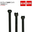 Thomas & Betts トーマス&ベッツ タイラップ 結束バンド【TB-300WX】100本入り 耐候 耐熱【ABB (旧Thomas&Betts)】 結束 バンド 黒 屋外 頑丈 耐候性 小型 屋外用 楽天 業務用 293mm/4.8mm